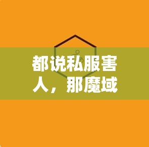 都说私服害人，那魔域私服害了你们什么呢？