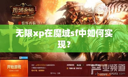 无限xp在魔域sf中如何实现？